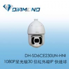 DH-SD6CE230UN-HNI 大華 1080P星光級30 倍紅外線IP POE快速球